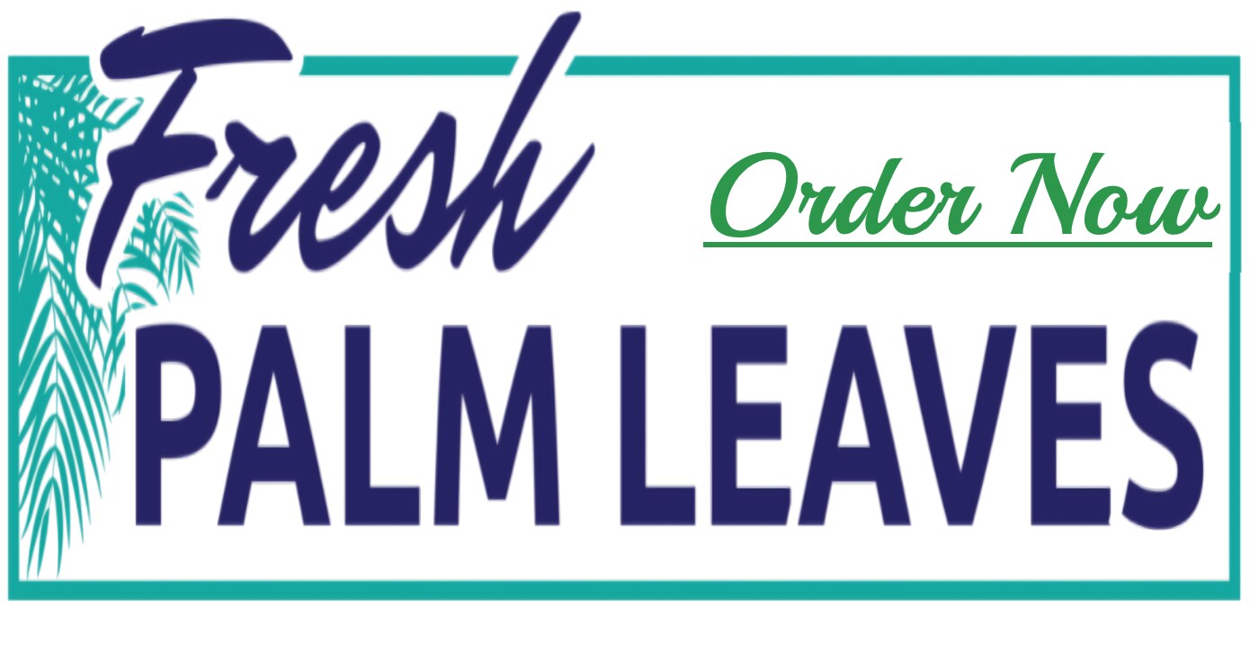 Fresh Palm Strips and Leaves Shipped and Delivered for Palm Sunday